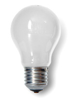 The Bulb