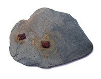 Slate with Nails