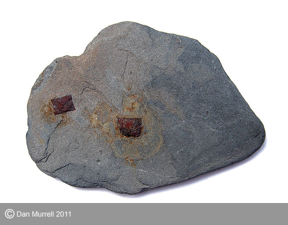 Slate with Nails
