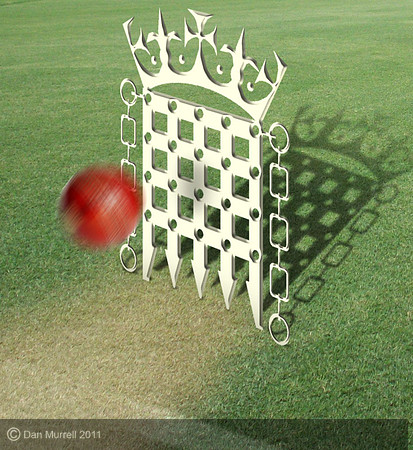 cricket politics